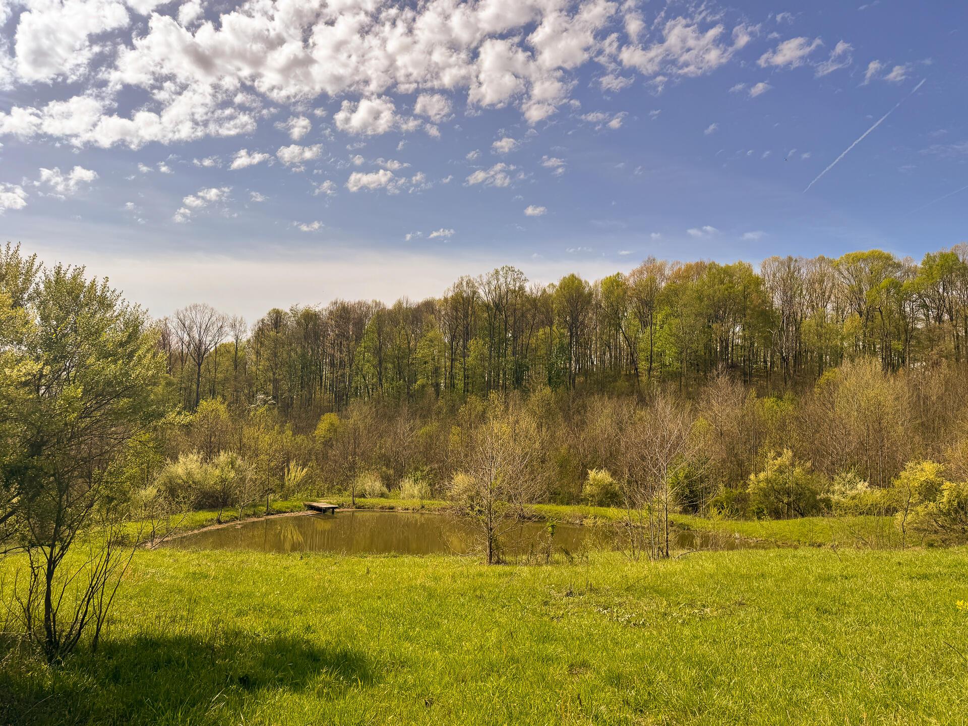 41447 Sr 684 #TRACT 13 ALBANY WOODS, Albany, Ohio image 15