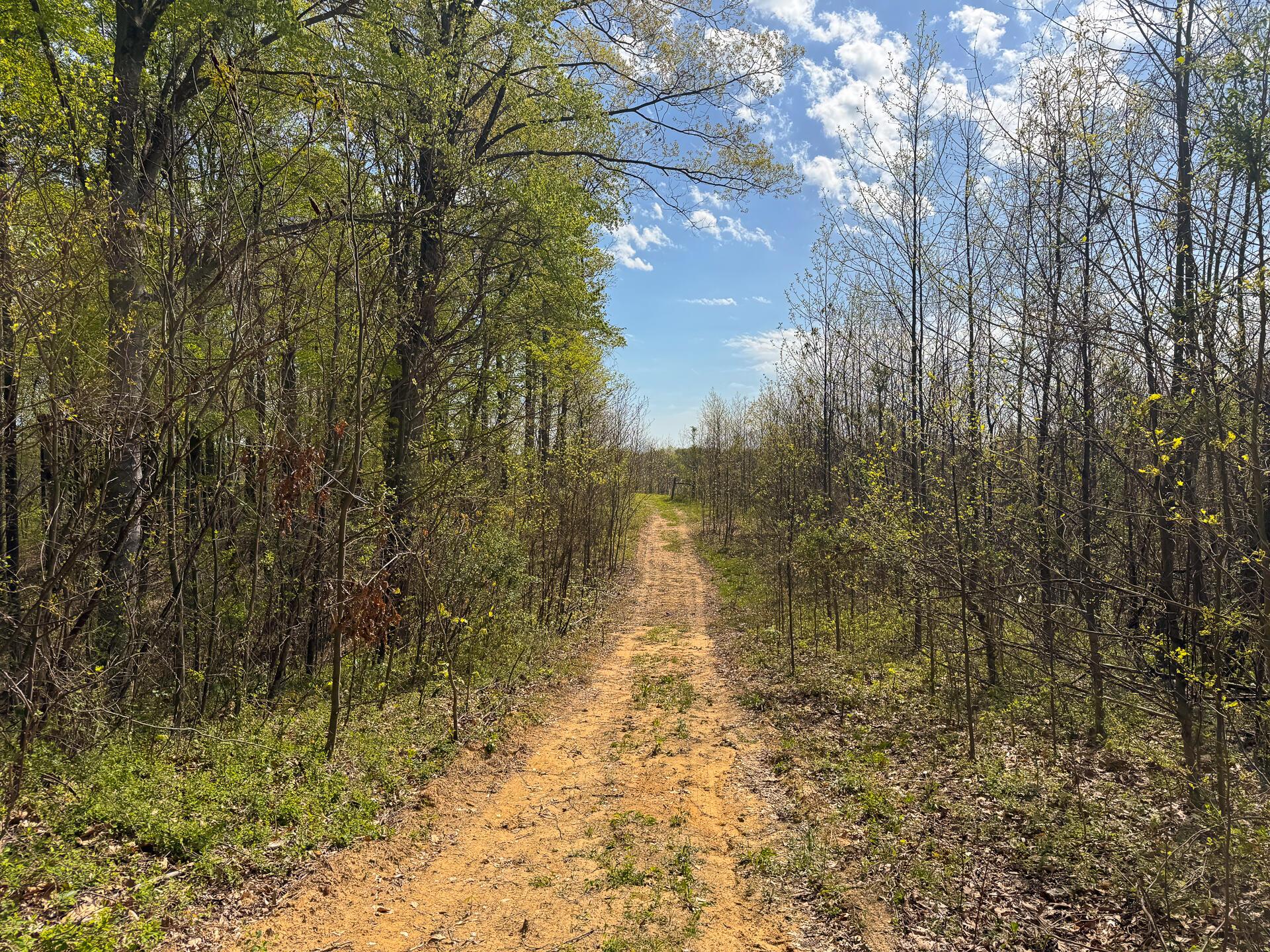 41447 Sr 684 #TRACT 13 ALBANY WOODS, Albany, Ohio image 32