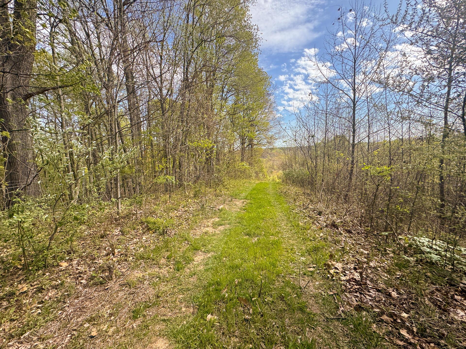41447 Sr 684 #TRACT 13 ALBANY WOODS, Albany, Ohio image 24