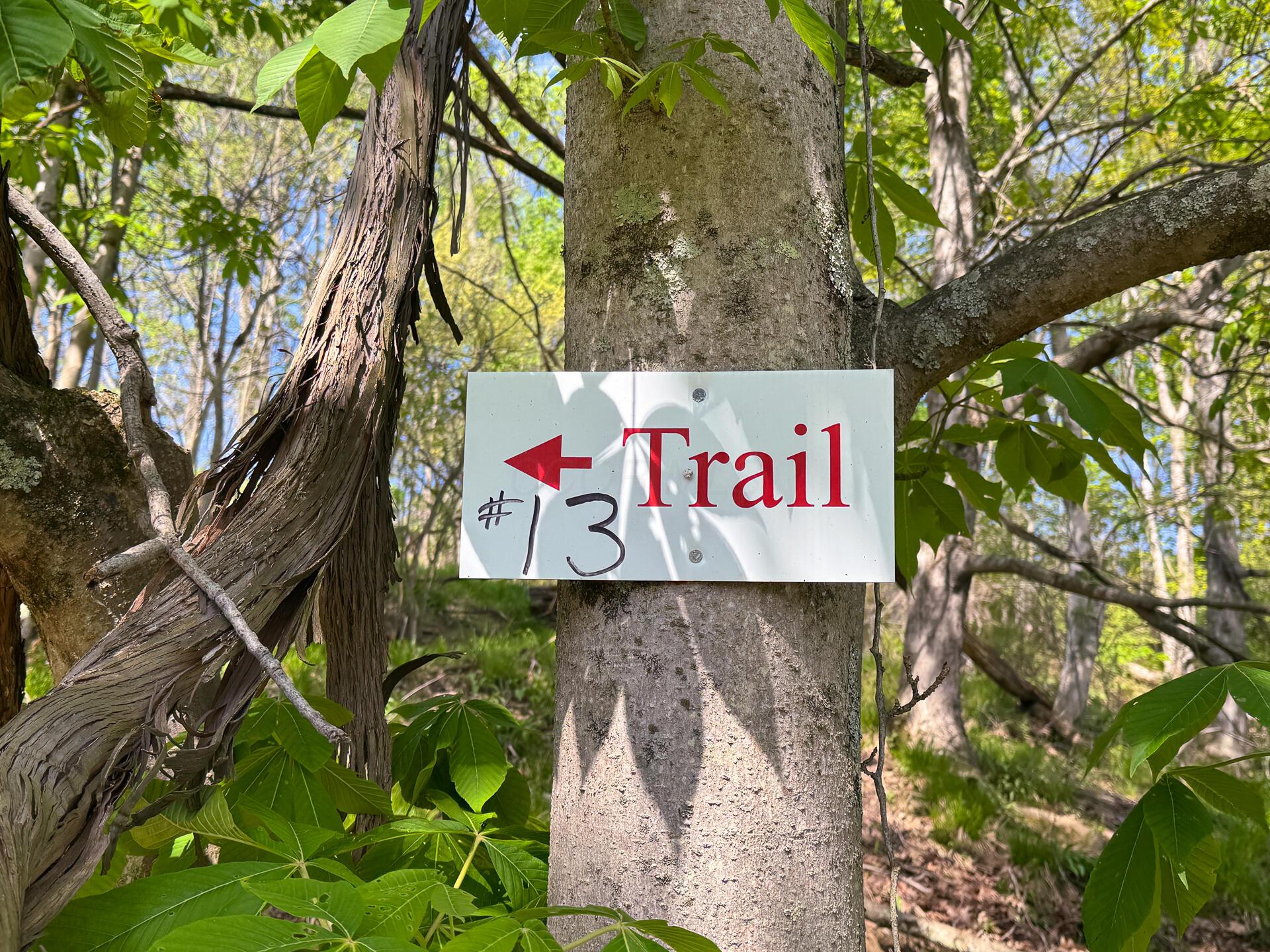 41447 Sr 684 #TRACT 13 ALBANY WOODS, Albany, Ohio image 2