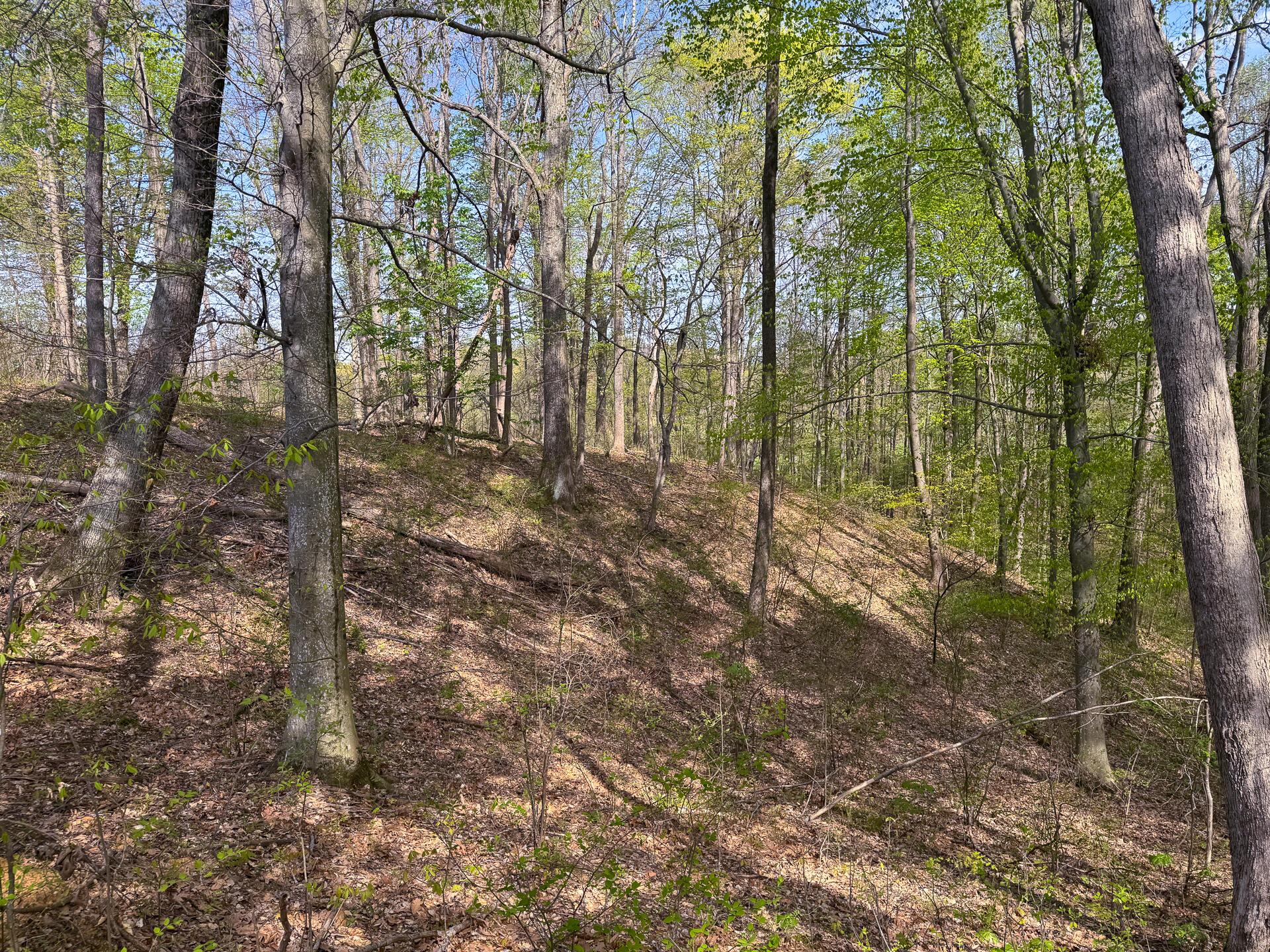 41447 Sr 684 #TRACT 13 ALBANY WOODS, Albany, Ohio image 7
