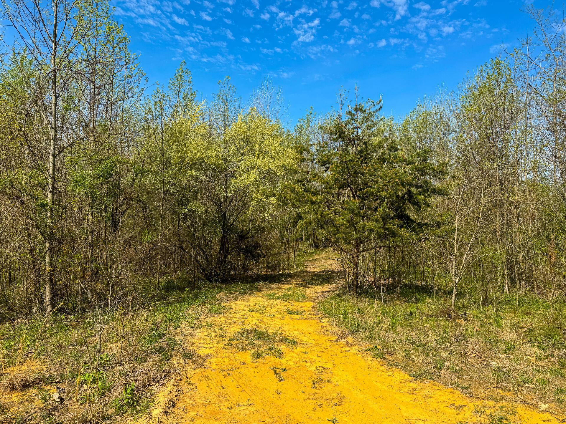 41447 Sr 684 #TRACT 13 ALBANY WOODS, Albany, Ohio image 21