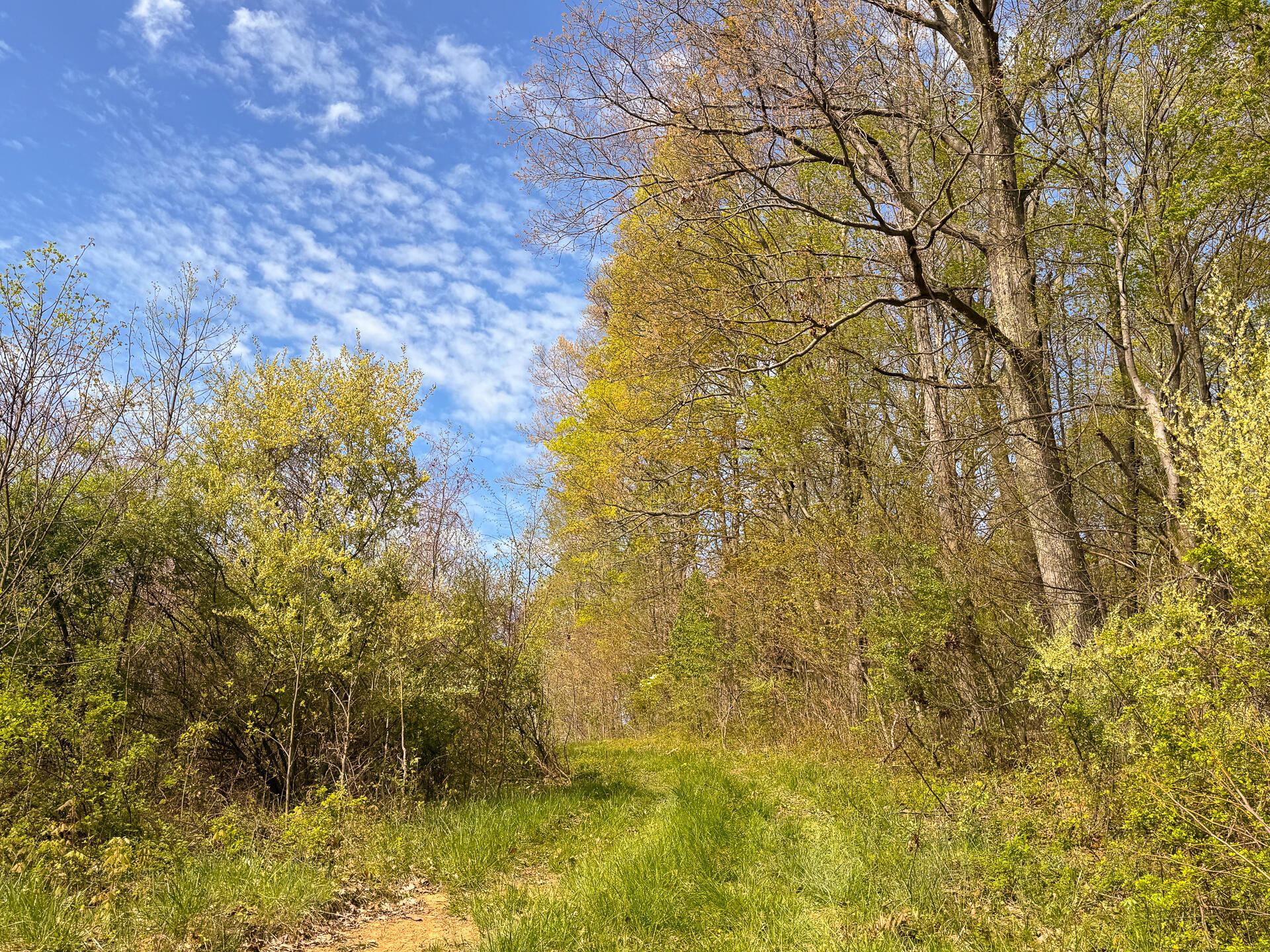 41447 Sr 684 #TRACT 13 ALBANY WOODS, Albany, Ohio image 22