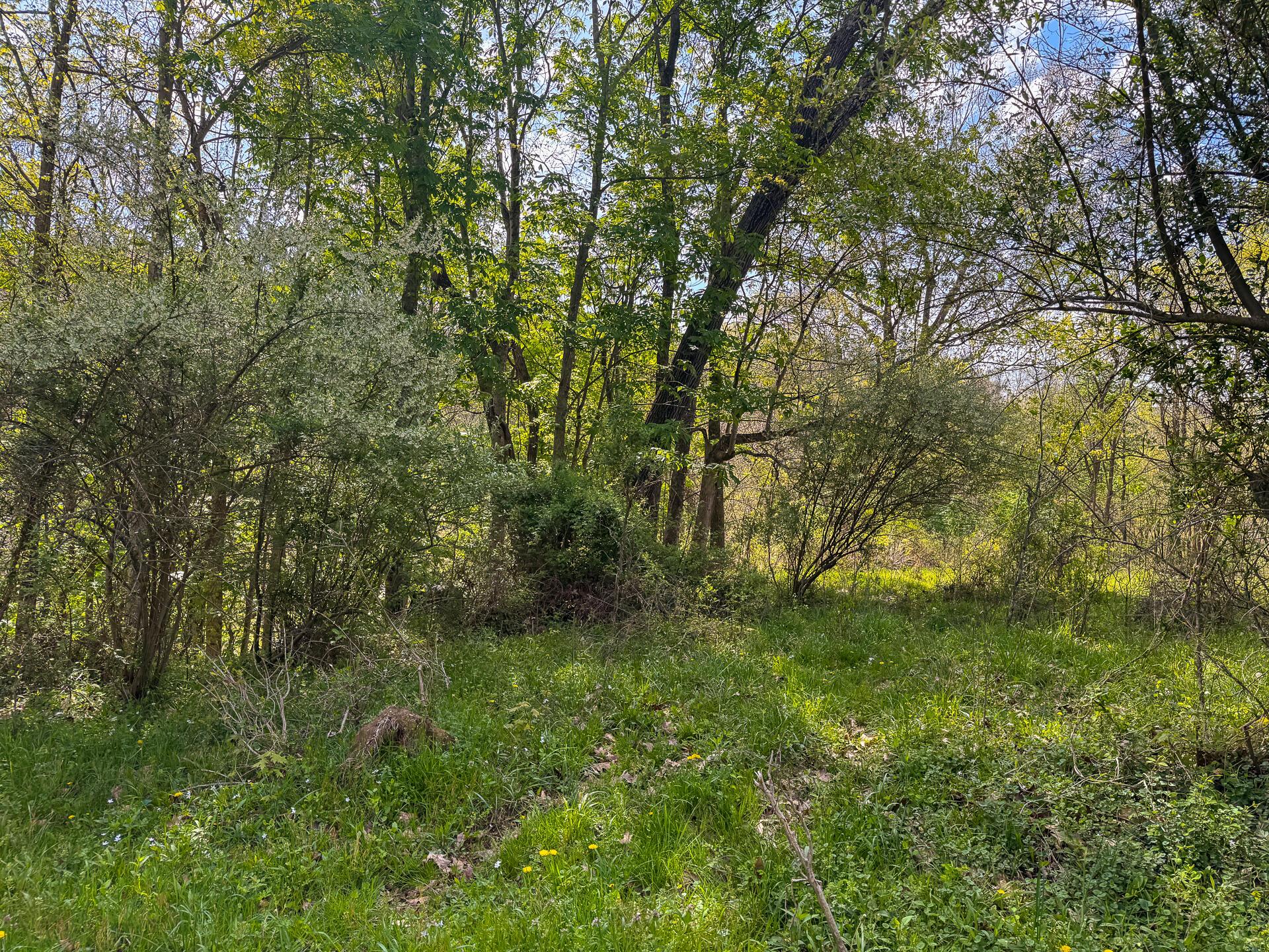 41447 Sr 684 #TRACT 13 ALBANY WOODS, Albany, Ohio image 23