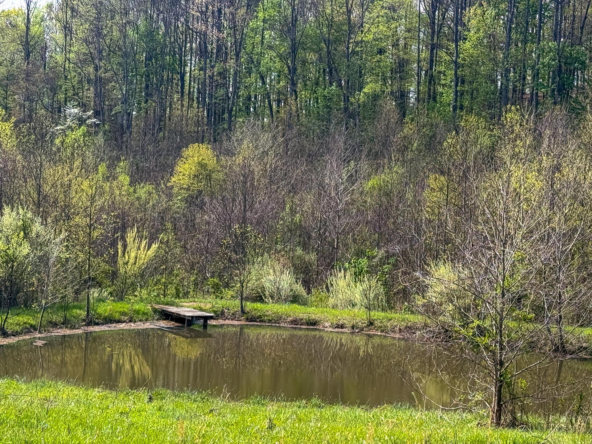 41447 Sr 684 #TRACT 13 ALBANY WOODS, Albany, Ohio image 28