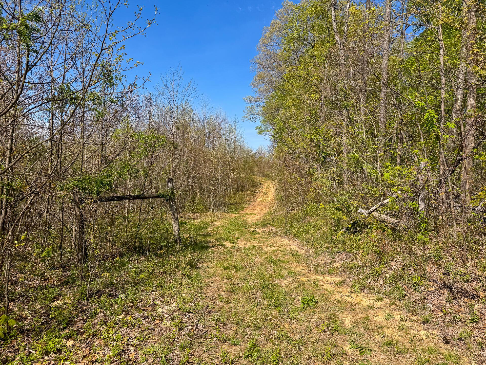 41447 Sr 684 #TRACT 13 ALBANY WOODS, Albany, Ohio image 33