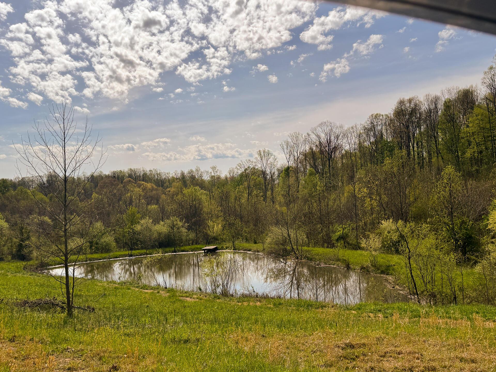 41447 Sr 684 #TRACT 13 ALBANY WOODS, Albany, Ohio image 17