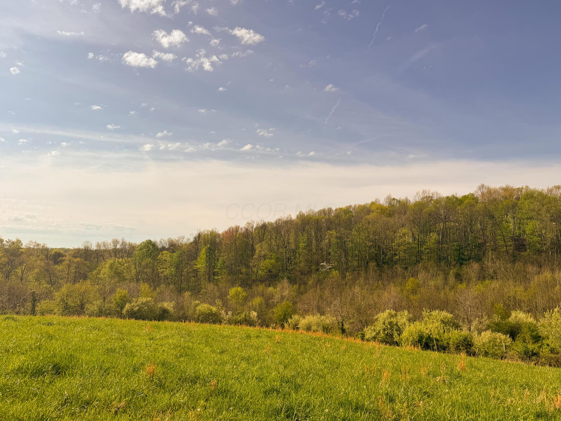 41447 Sr 684 #TRACT 13 ALBANY WOODS, Albany, Ohio image 18