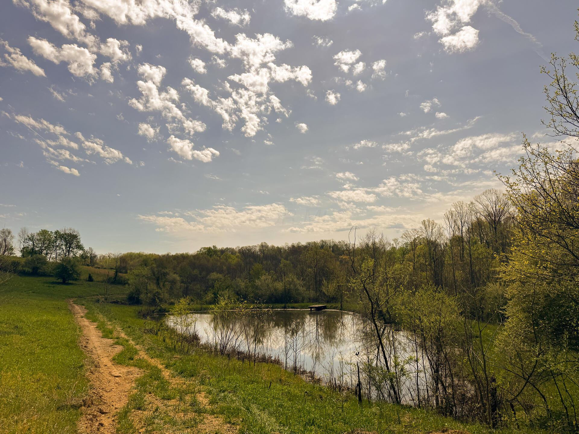 41447 Sr 684 #TRACT 13 ALBANY WOODS, Albany, Ohio image 35