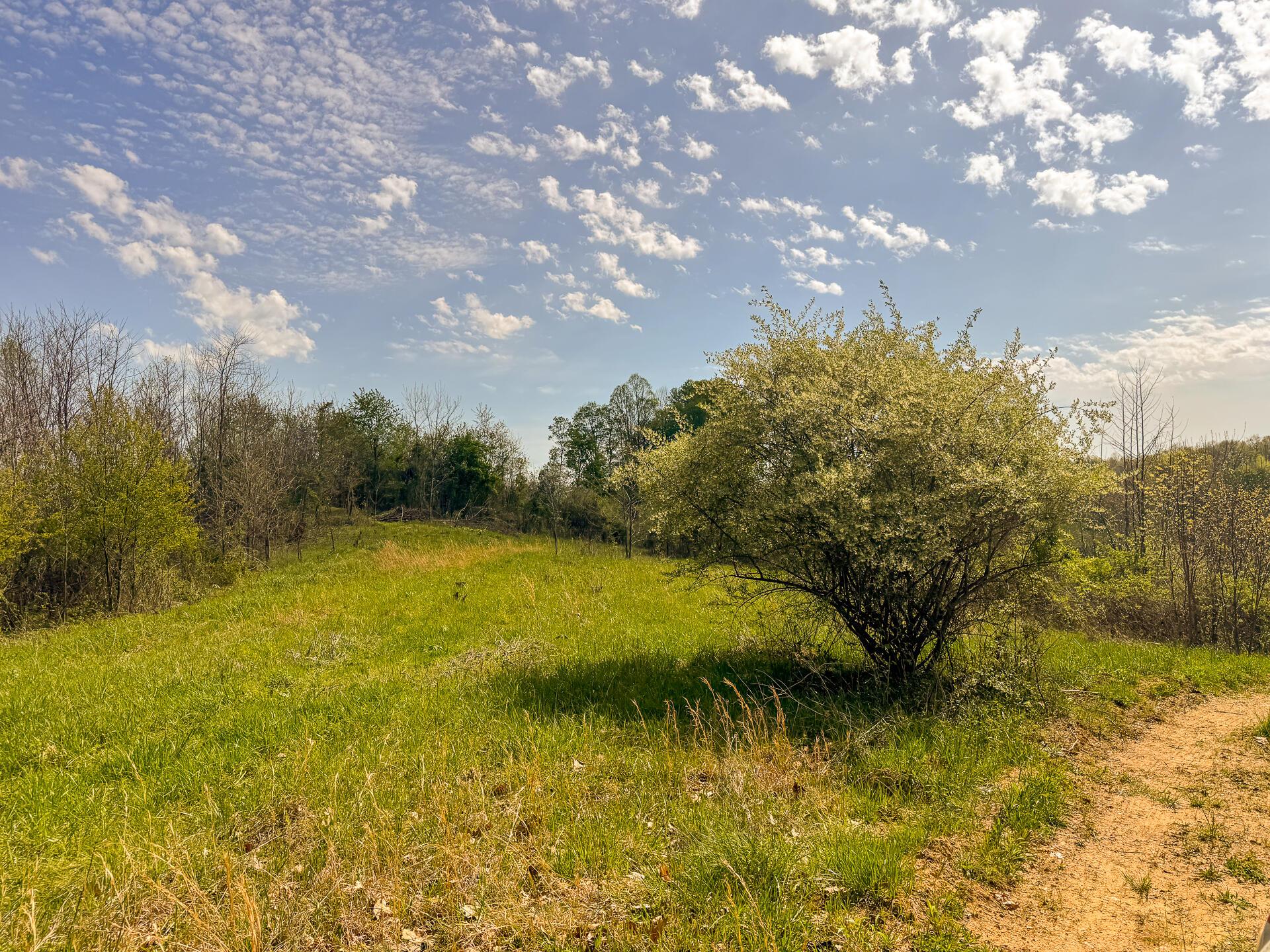 41447 Sr 684 #TRACT 13 ALBANY WOODS, Albany, Ohio image 34