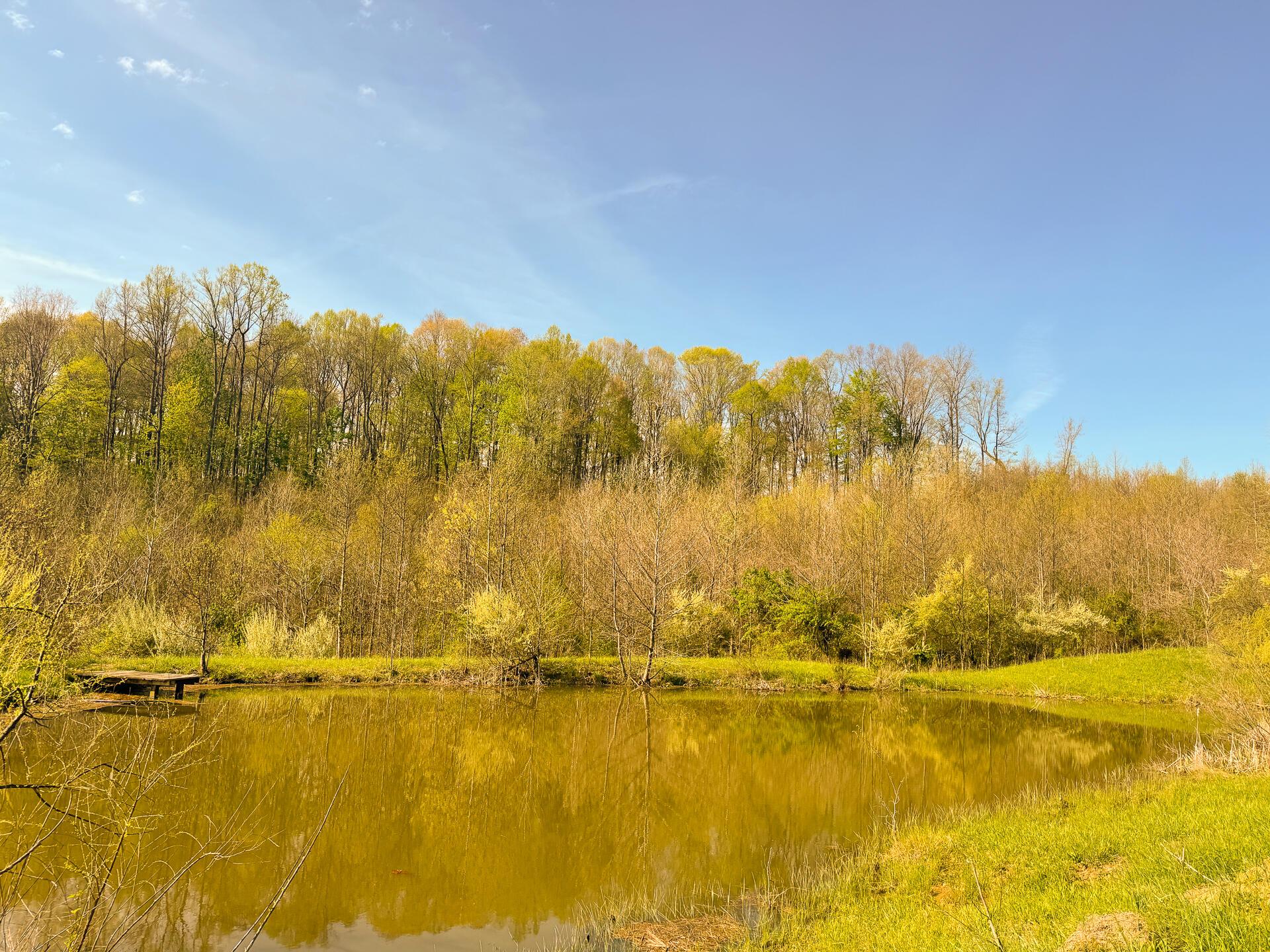 41447 Sr 684 #TRACT 13 ALBANY WOODS, Albany, Ohio image 16