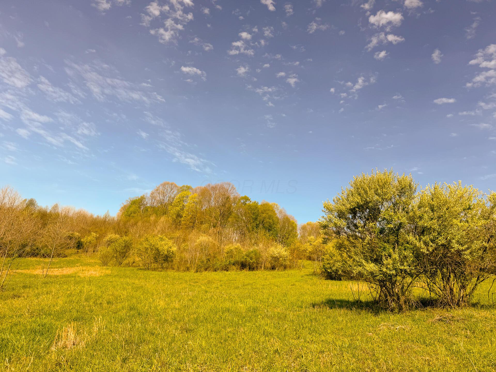 41447 Sr 684 #TRACT 13 ALBANY WOODS, Albany, Ohio image 13