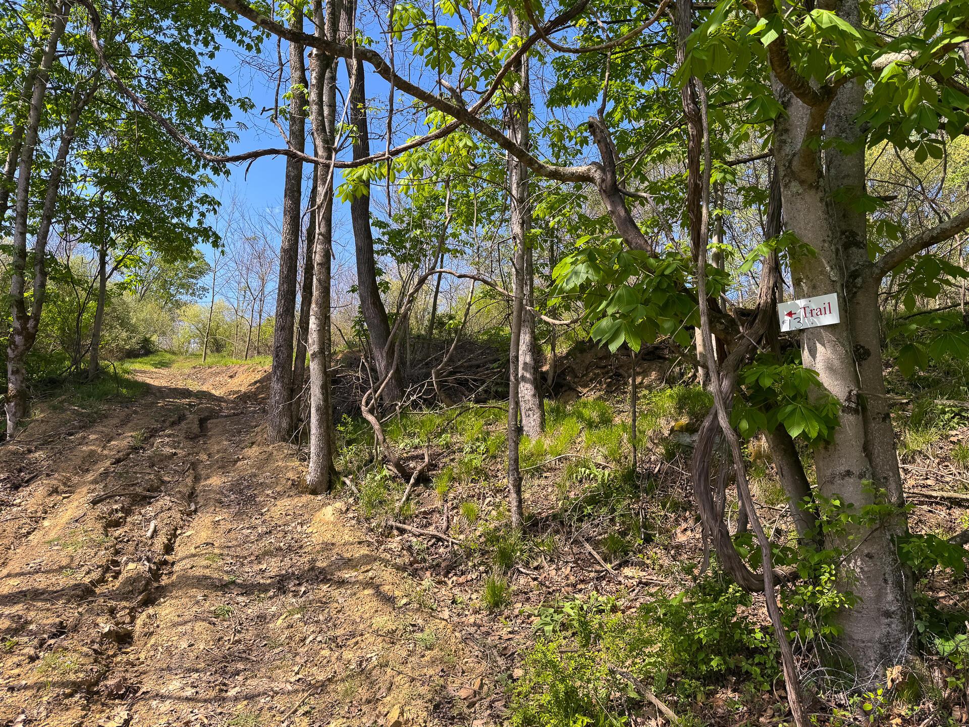 41447 Sr 684 #TRACT 13 ALBANY WOODS, Albany, Ohio image 25