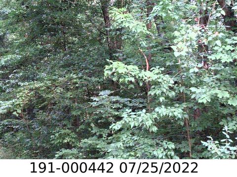 Photo of 0 E Minnesota Avenue, Columbus, OH 43219 (MLS # 224018641)