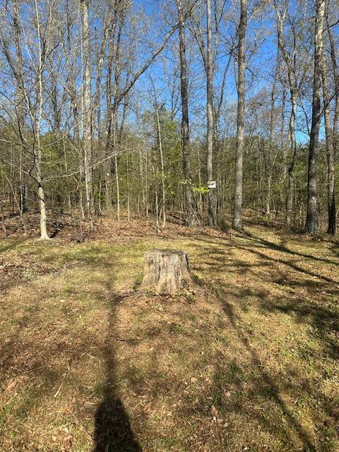 35310 Geiger Road, Logan, Ohio image 10