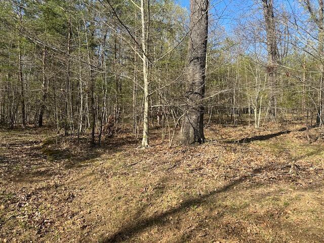 35310 Geiger Road, Logan, Ohio image 11