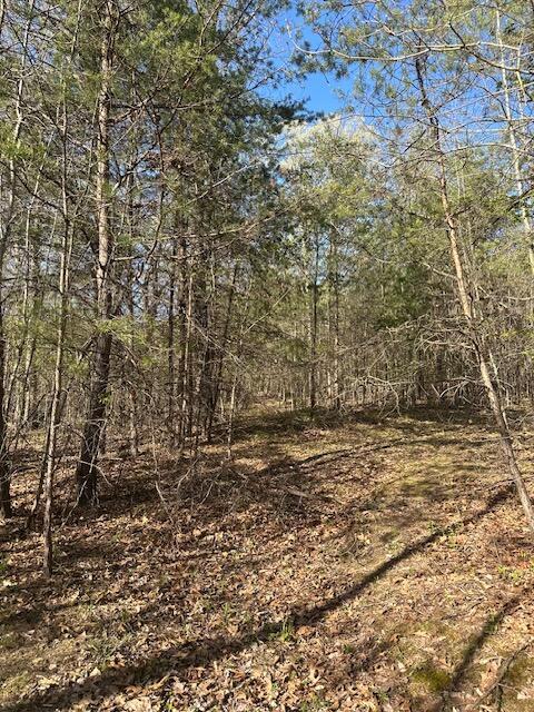 35310 Geiger Road, Logan, Ohio image 13