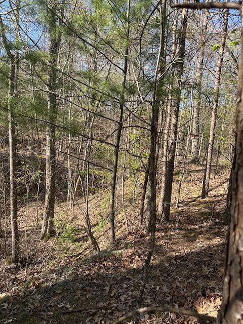 35310 Geiger Road, Logan, Ohio image 15