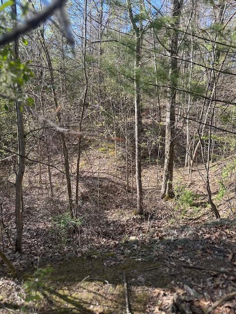 35310 Geiger Road, Logan, Ohio image 14