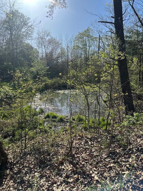 35310 Geiger Road, Logan, Ohio image 16