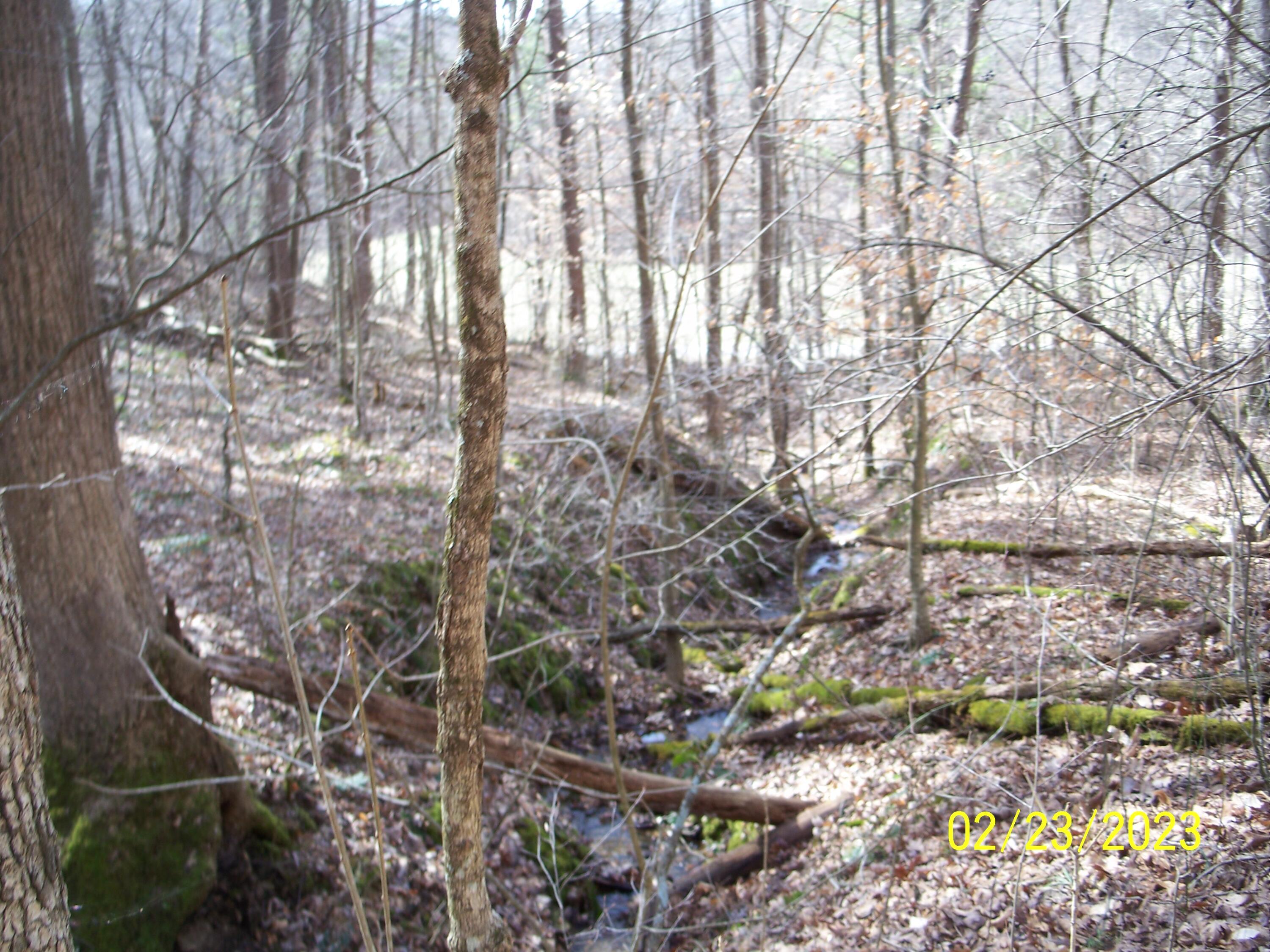 Erwin Hollow Road, Jackson, Ohio image 3