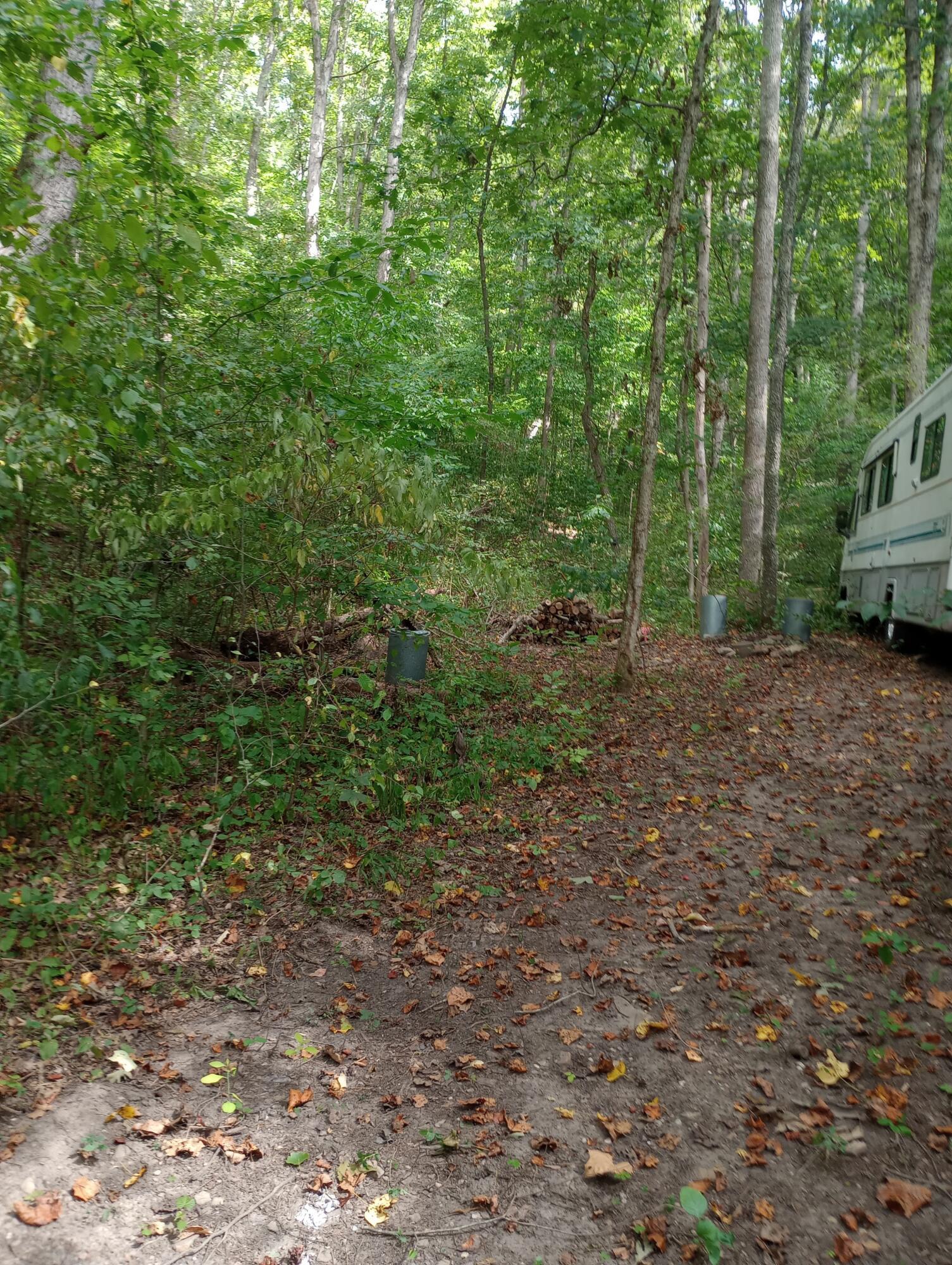 Erwin Hollow Road, Jackson, Ohio image 6