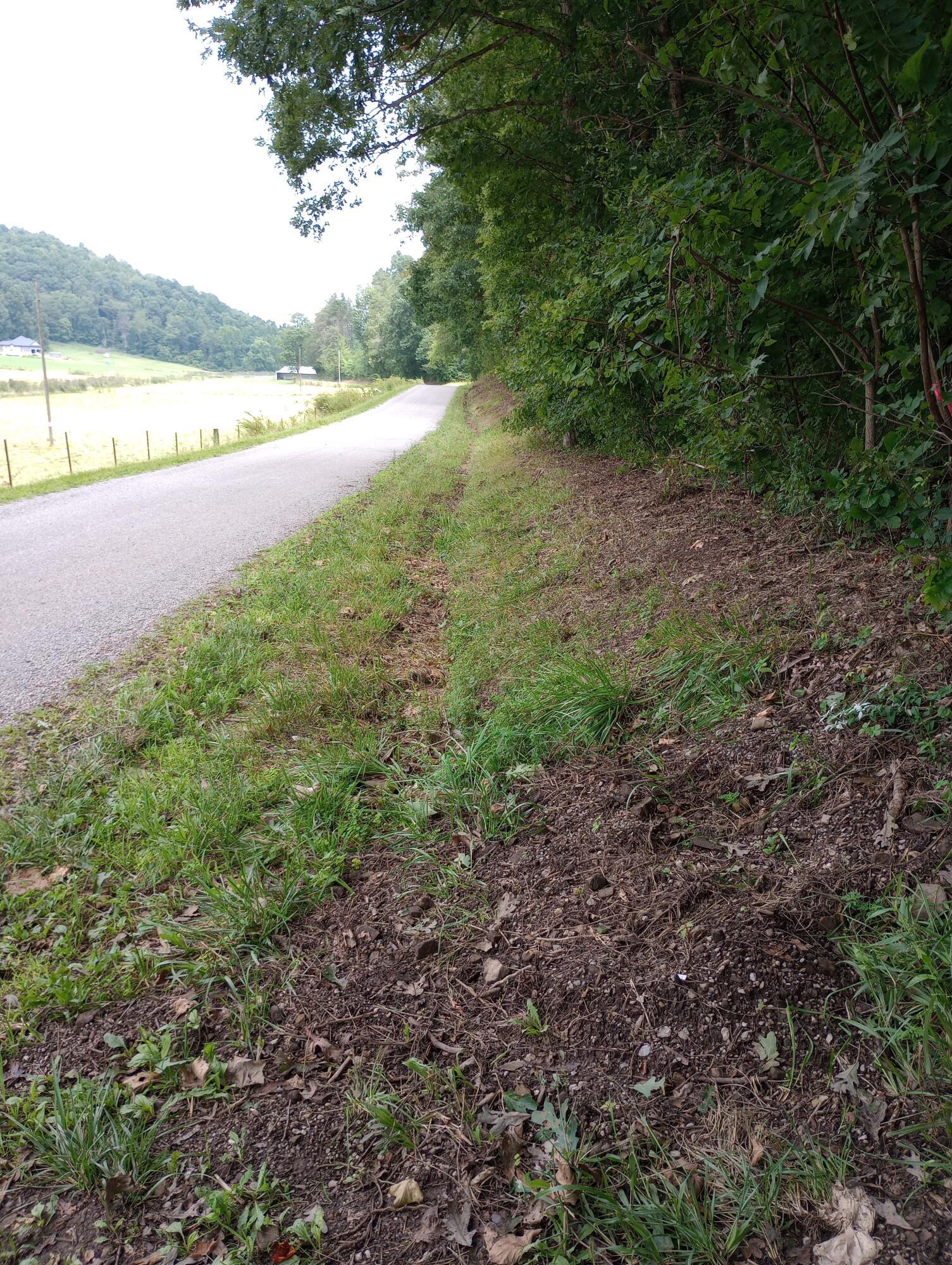Erwin Hollow Road, Jackson, Ohio image 7
