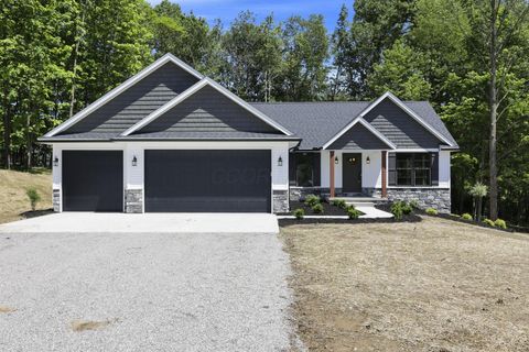 Photo of 14362 Monroe Mills Road, Mount Vernon, OH 43050 (MLS # 226019318)