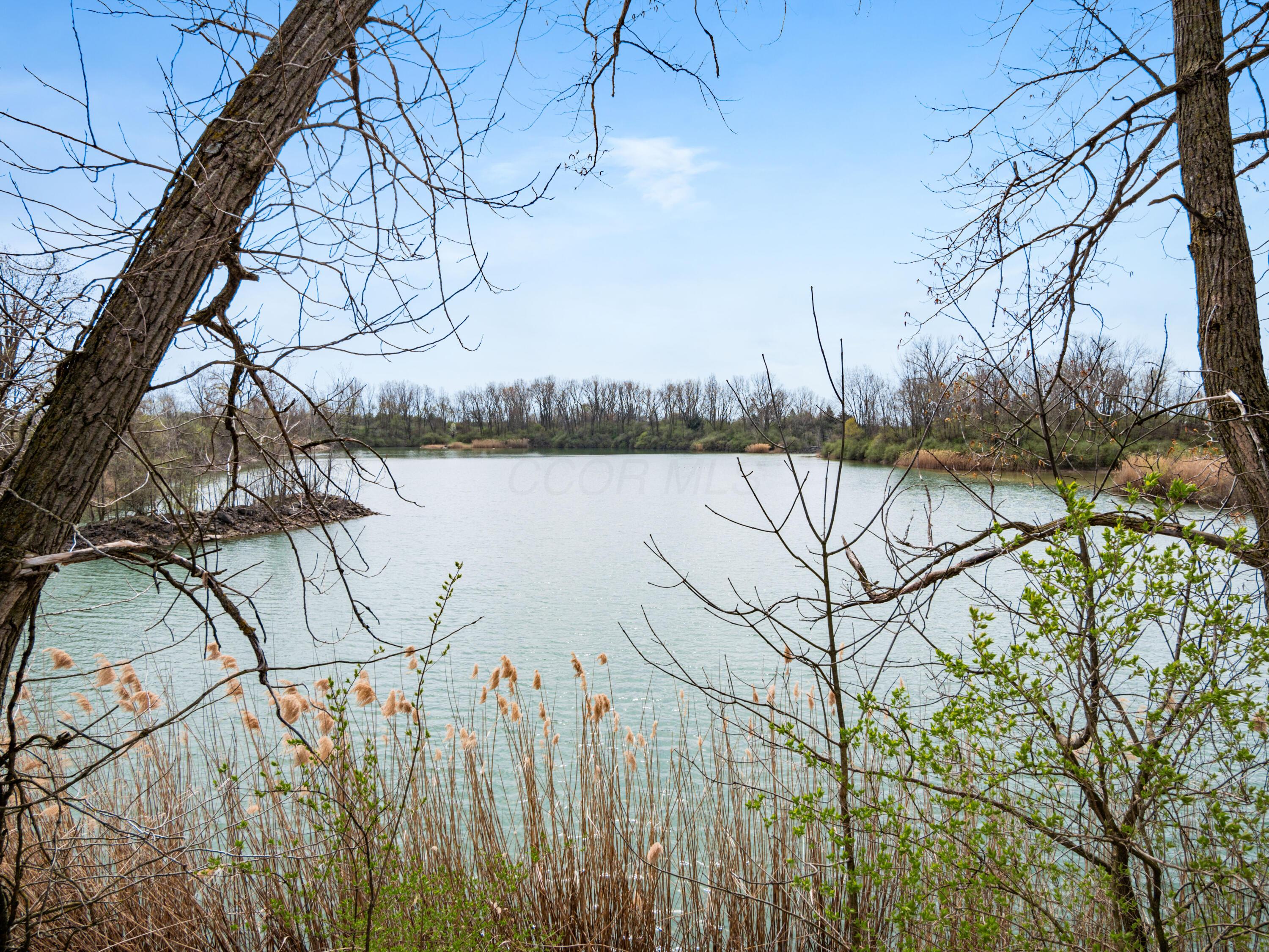 Dildine Road, Delaware, Ohio image 16