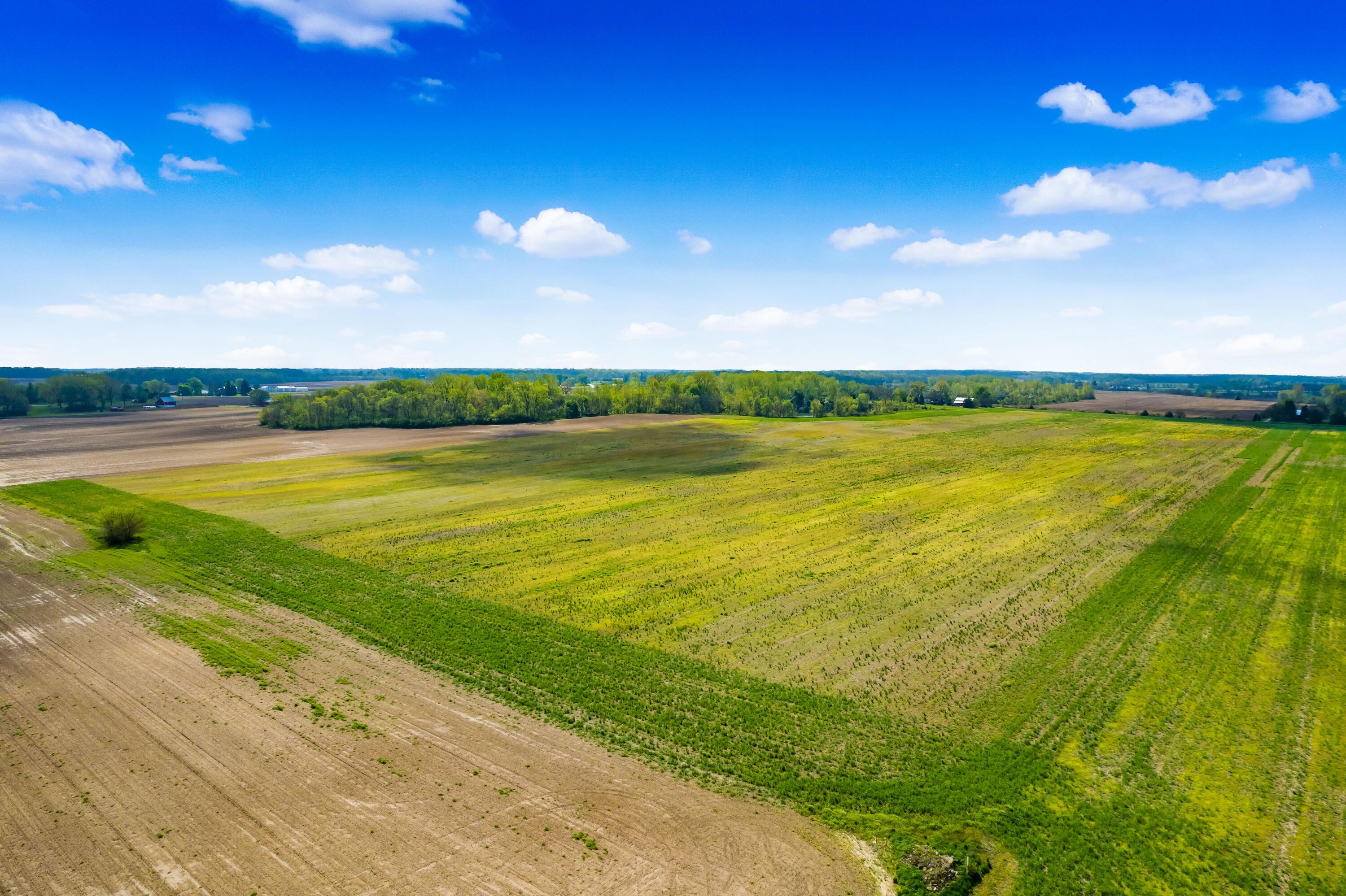 Dildine Road, Delaware, Ohio image 8