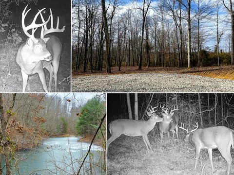 Photo of 0 Dutch Ridge Road (Woods Turkey Run Tract 1) #(Woods Turkey Run Tr, New Lexington, OH 43764 (MLS # 225045698)