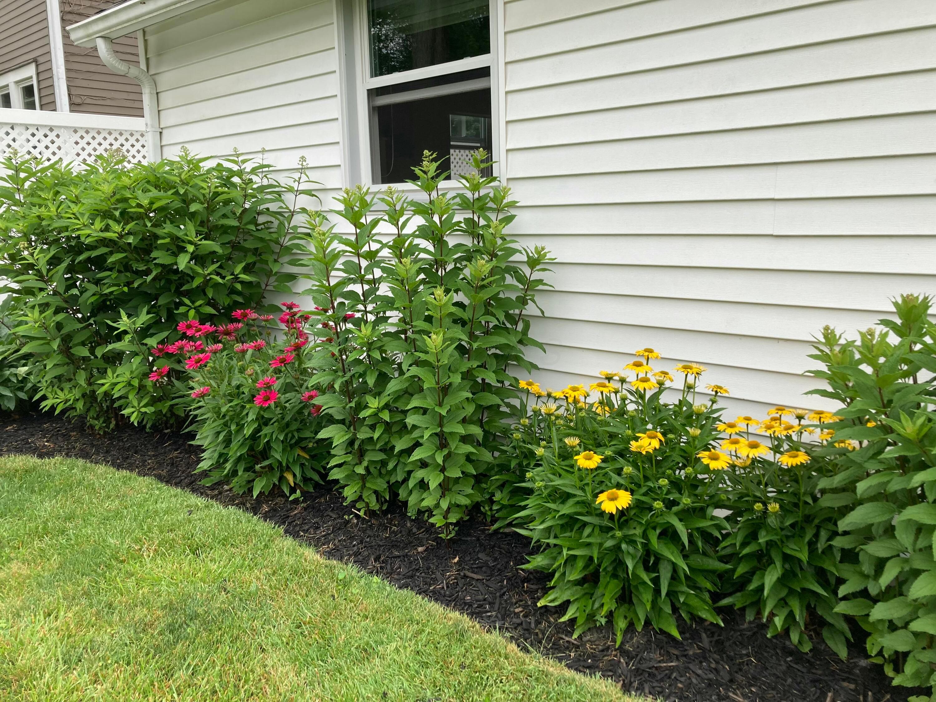 195 Griswold Street, Delaware, Ohio image 49
