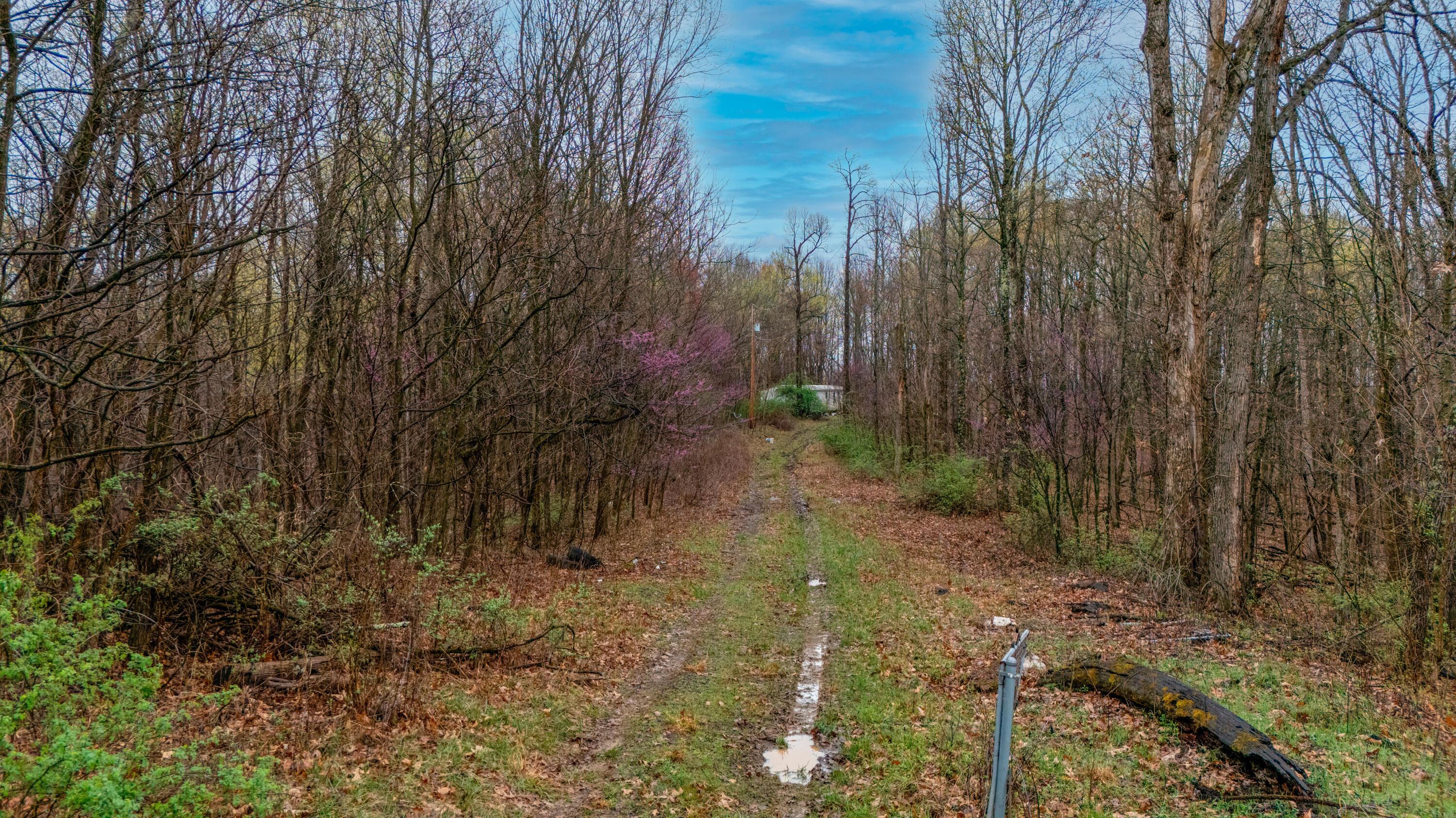 1630 N Pascal Road, Malta, Ohio image 7