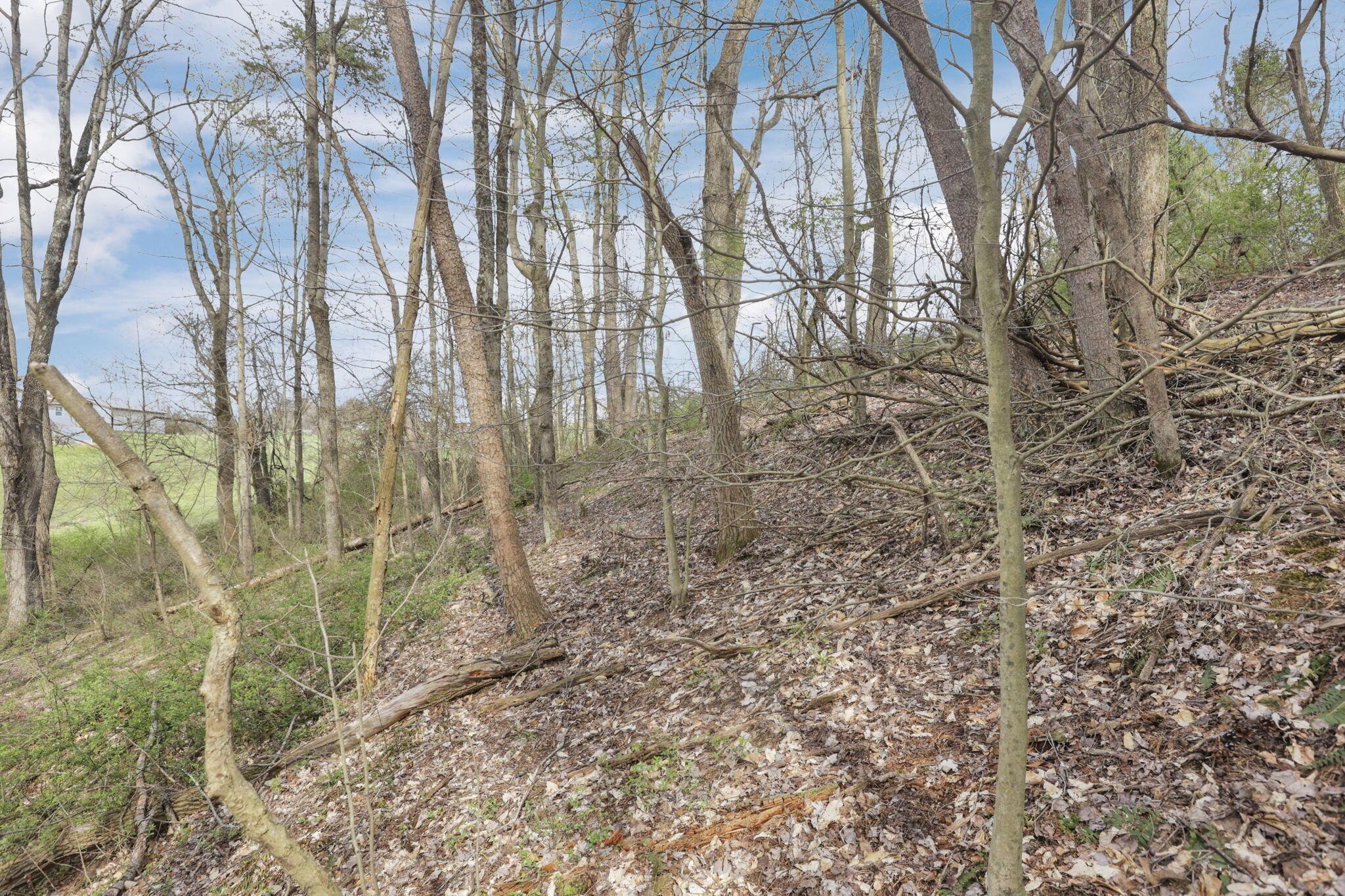 15971 Rocky Fork Road, Logan, Ohio image 15