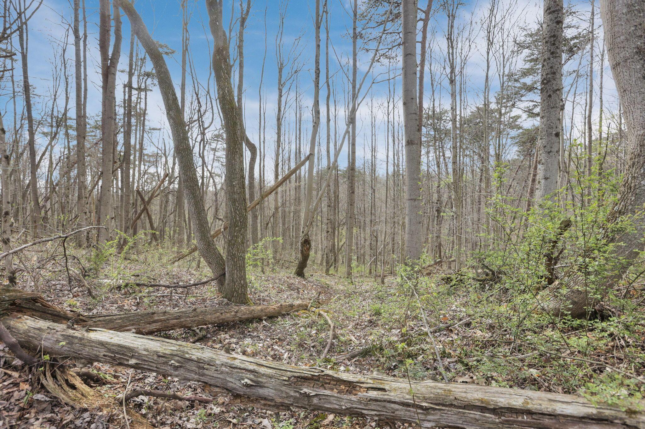 15971 Rocky Fork Road, Logan, Ohio image 10