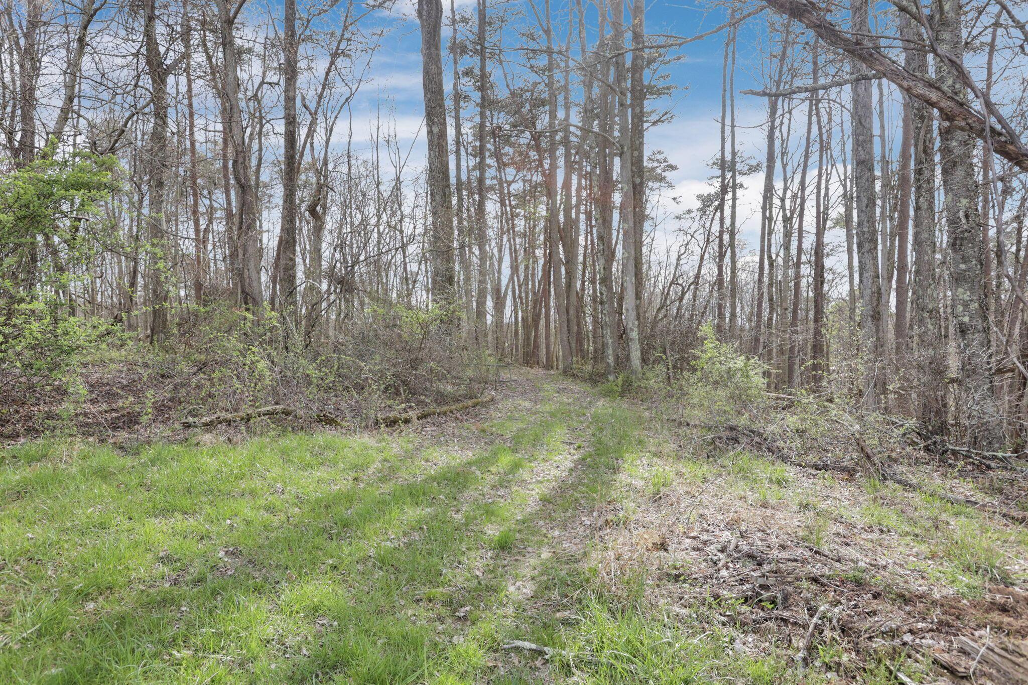 15971 Rocky Fork Road, Logan, Ohio image 17