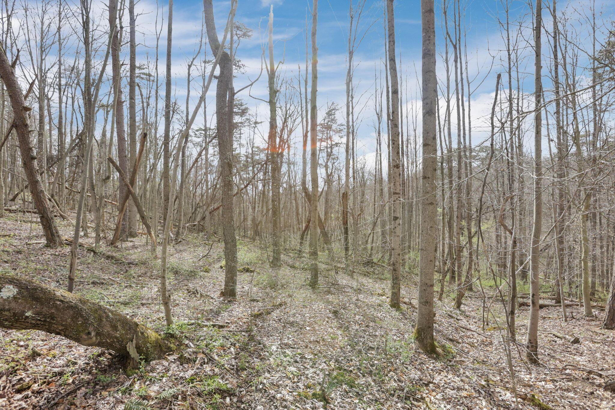 15971 Rocky Fork Road, Logan, Ohio image 11