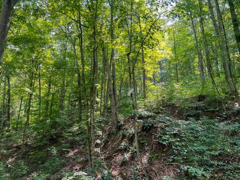 Tiny photo for 603 Fairgreens Road, Jackson, OH 45640 (MLS # 226003165)