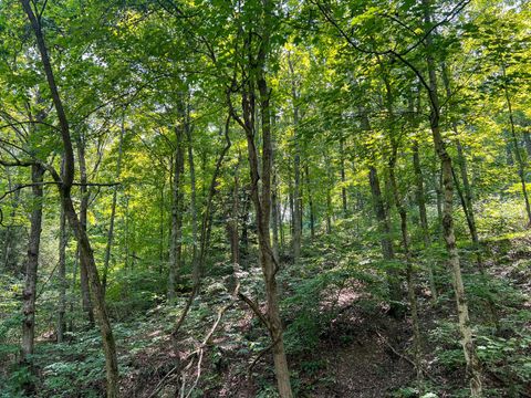 Tiny photo for 603 Fairgreens Road, Jackson, OH 45640 (MLS # 226003165)