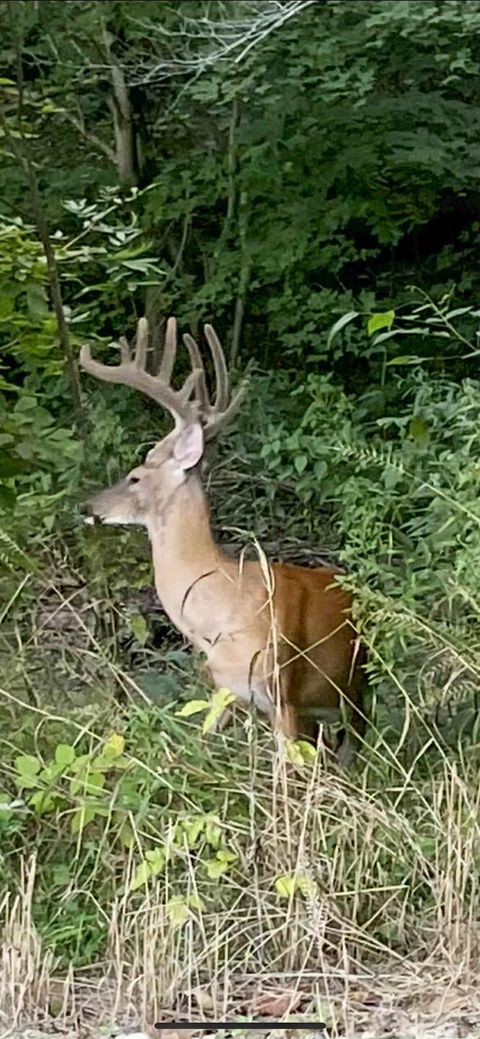 Tiny photo for 603 Fairgreens Road, Jackson, OH 45640 (MLS # 226003165)