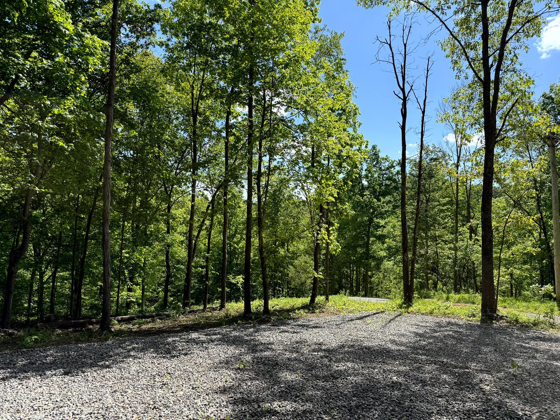 0 Little Kyger Road (Little Kyger Tract 2)