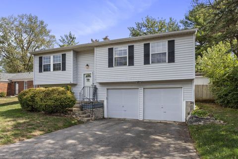 Tiny photo for 4960 Honeysuckle Boulevard, Columbus, OH 43230 (MLS # 225037264)