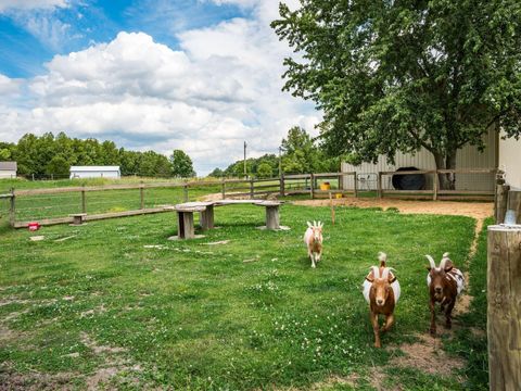 Tiny photo for 21990 Shirk Road, Marysville, OH 43040 (MLS # 226022801)