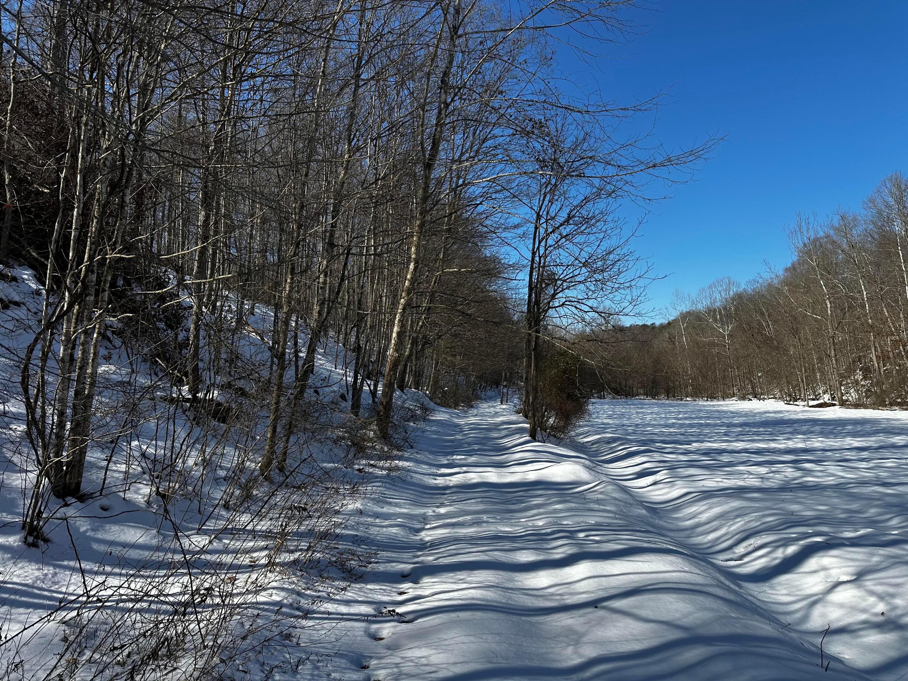 1529 Hull Road #TRACT 7 WOODS WAYNE FORE, Patriot, Ohio image 42
