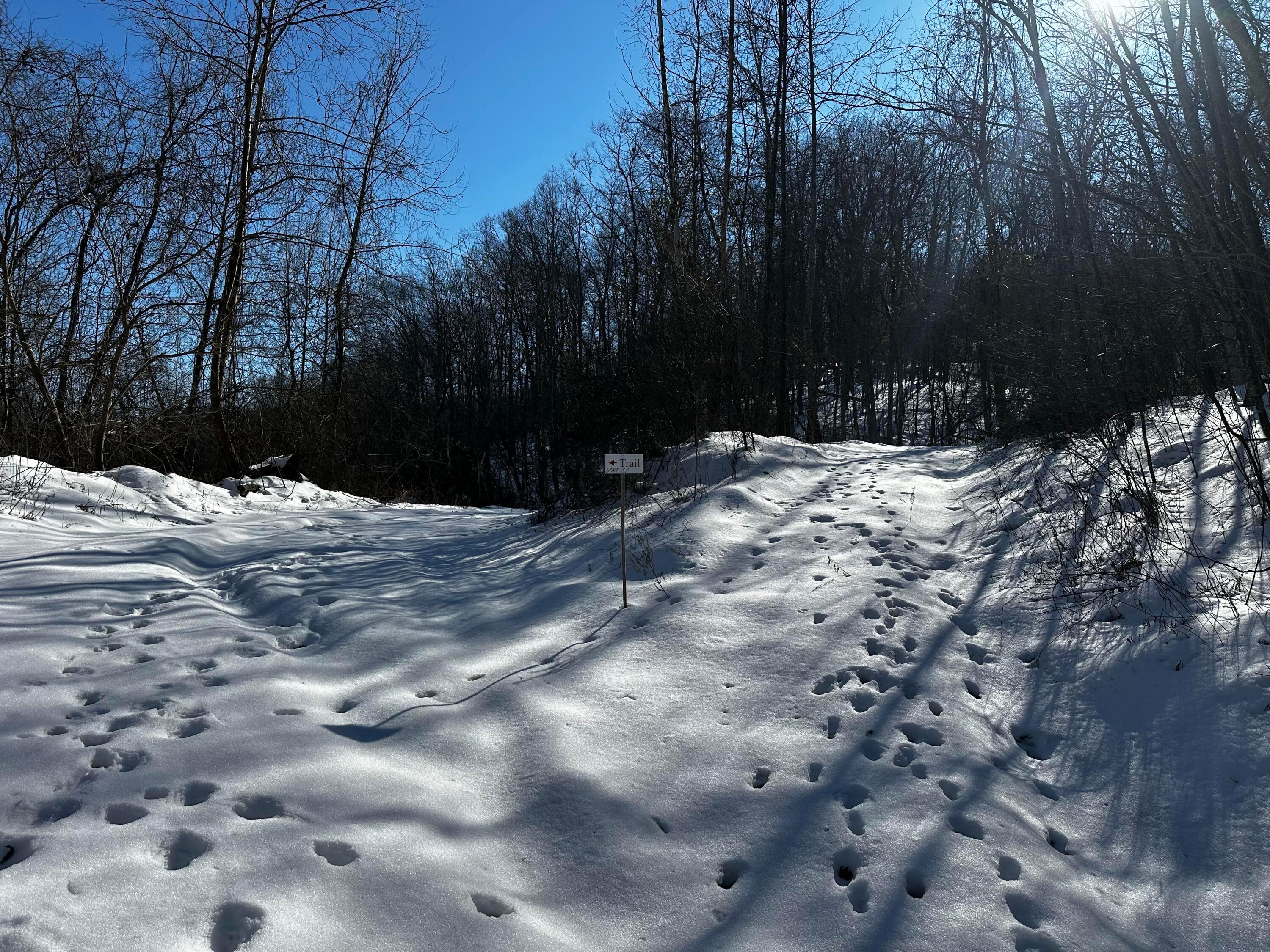 1529 Hull Road #TRACT 7 WOODS WAYNE FORE, Patriot, Ohio image 18
