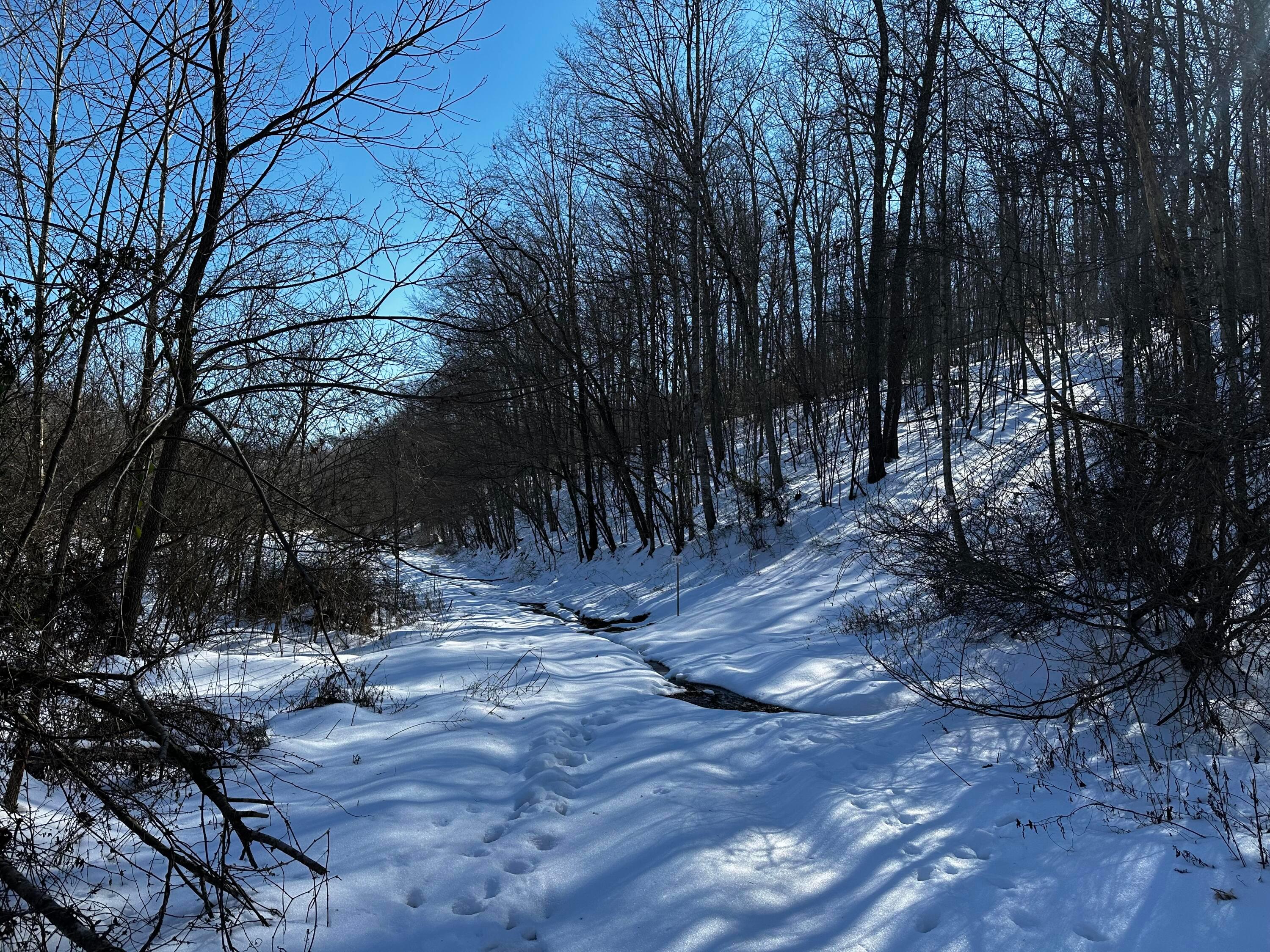 1529 Hull Road #TRACT 7 WOODS WAYNE FORE, Patriot, Ohio image 20