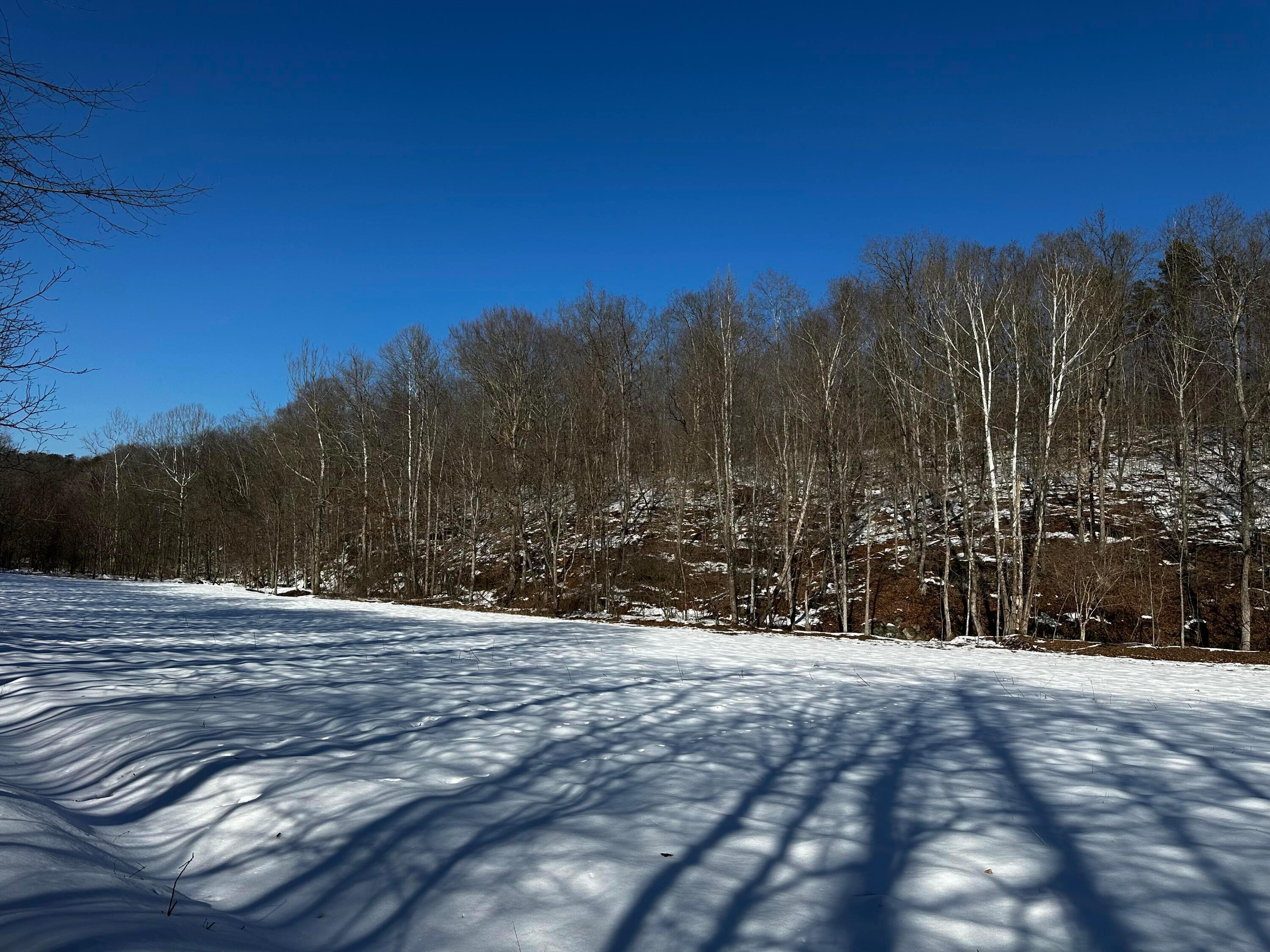 1529 Hull Road #TRACT 7 WOODS WAYNE FORE, Patriot, Ohio image 43
