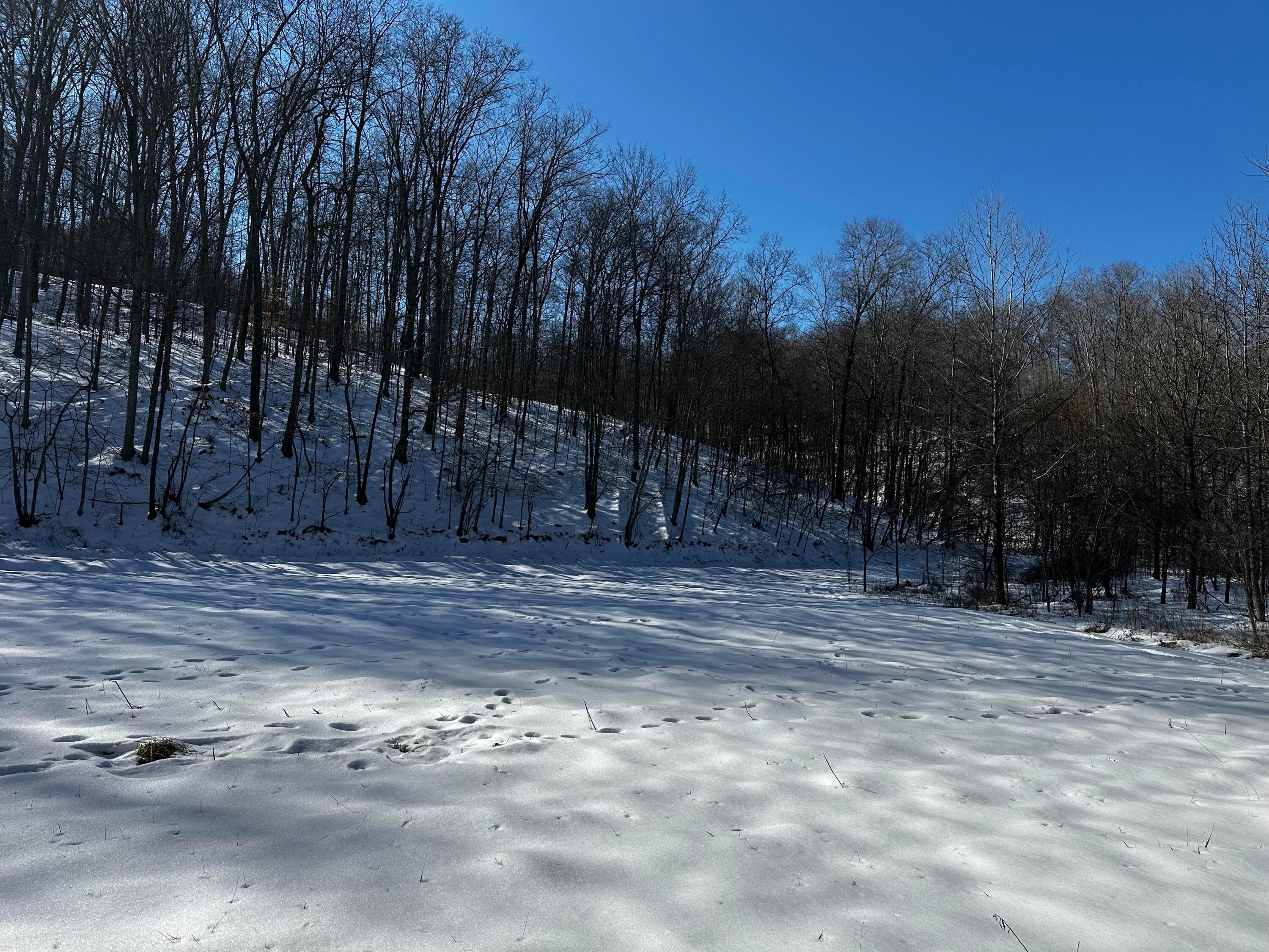 1529 Hull Road #TRACT 7 WOODS WAYNE FORE, Patriot, Ohio image 27