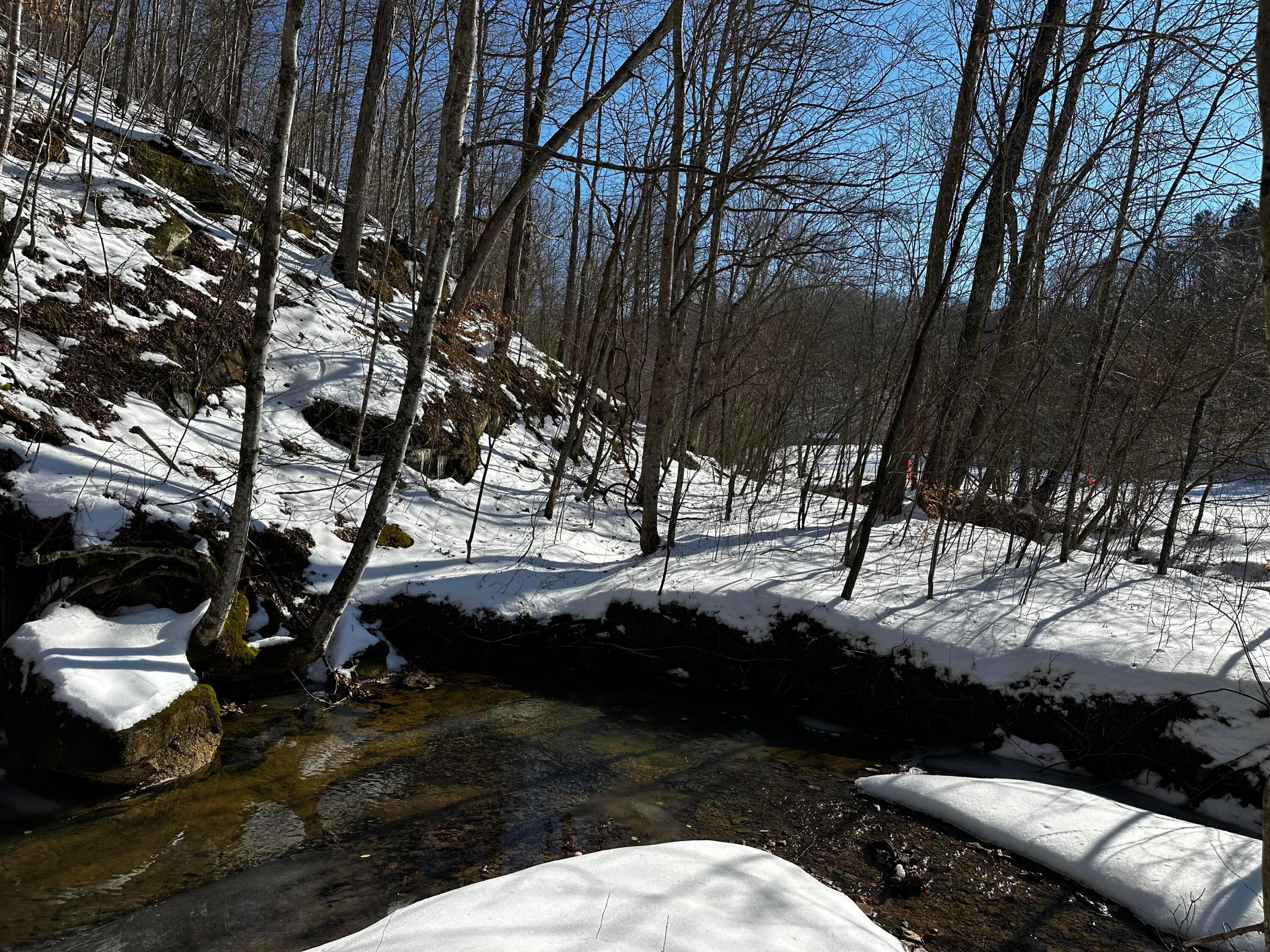 1529 Hull Road #TRACT 7 WOODS WAYNE FORE, Patriot, Ohio image 38