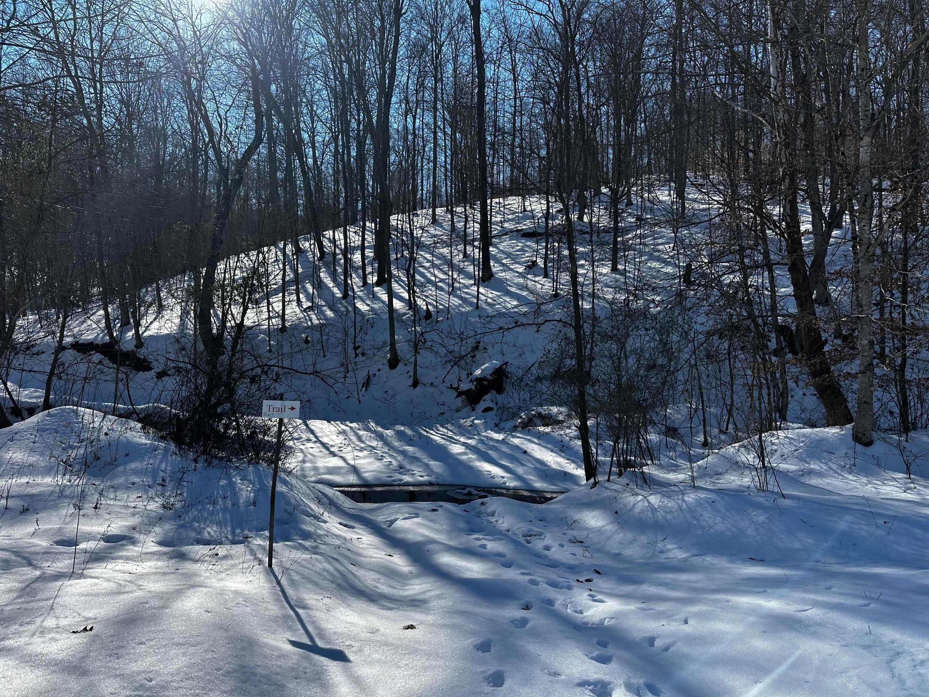 1529 Hull Road #TRACT 7 WOODS WAYNE FORE, Patriot, Ohio image 15